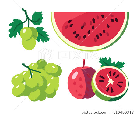 Set of various fresh fruits. Green grapes bunch, half watermelon, whole guava, split guava with visible seeds vector illustration. Colorful fruit collection, healthy food concept, summer refreshment. Set of various fresh fruits. Green grapes bunch, half watermelon, whole guava, split guava with visible seeds vector illustration. Colorful fruit collection, healthy food concept, summer refreshment. 110499318