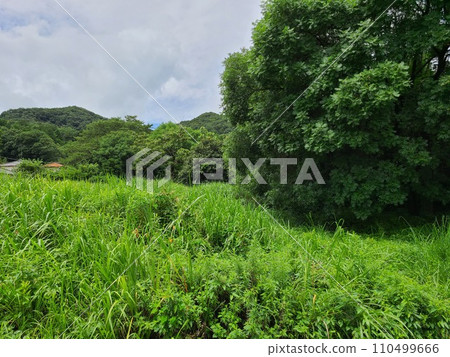 Beautiful countryside landscape Beautiful countryside landscape 110499666