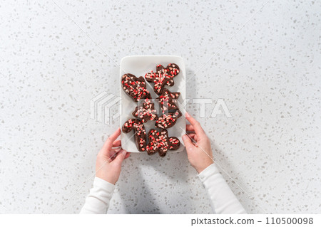 Flat lay. Freshly made Christmas cookie-cutter peppermint fudge on the serving plate. Flat lay. Freshly made Christmas cookie-cutter peppermint fudge on the serving plate. 110500098