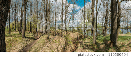 Old Abandoned World War Ii Trenches At Riverside Since Second World War. Early Spring Season. Cloudy Blue Sky. Memory Of War. Old Infantry Fortifications. Ruined Line Of Defense Old Abandoned World War Ii Trenches At Riverside Since Second World War. Early Spring Season. Cloudy Blue Sky. Memory Of War. Old Infantry Fortifications. Ruined Line Of Defense 110500494