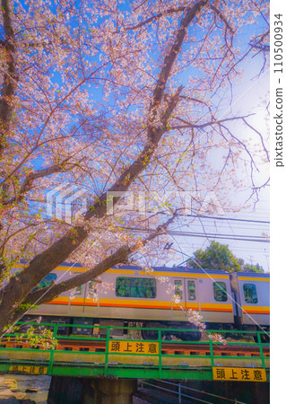 Sakura in full bloom and Nambu Line 110500934