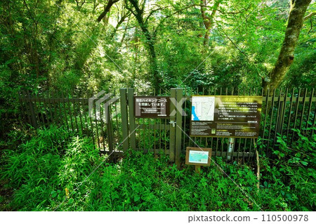 Mt. Hakone's Hougasawa trailhead Mt. Hakone's Hougasawa trailhead 110500978