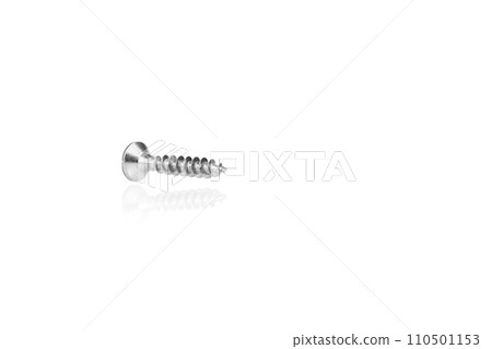 macro screw of silver color on a white background macro screw of silver color on a white background 110501153