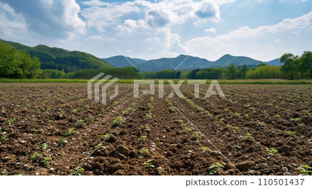 AI-generated content. terraces filled, lush with bright green and healthy rice seedlings. Field with rows of plants surrounded trees and mountains. 110501437