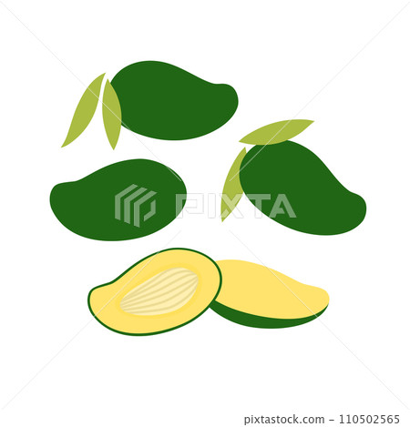 Bunch of fresh green mango. Flat vector illustration isolated on white background. 110502565