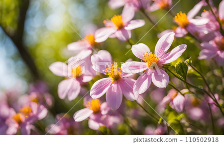 Sunny spring field: Vibrant flowers under the sun 110502918
