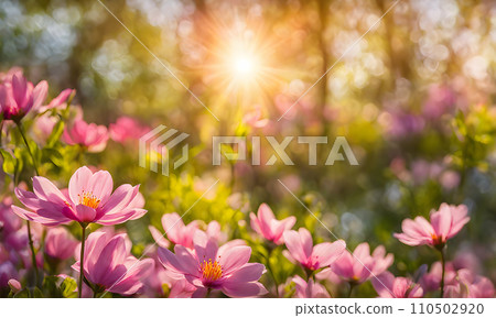 Sunny spring field: Vibrant flowers under the sun 110502920