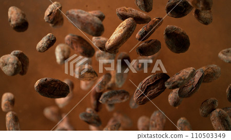 Pieces of cocoa beans exploding. Top view. 110503349
