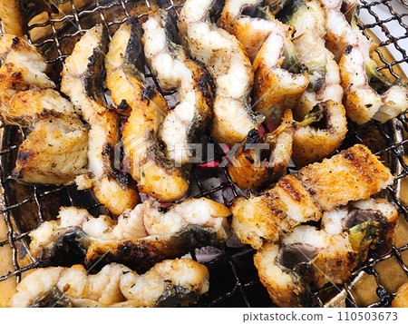 Korean food. Charcoal grilled eel 110503673