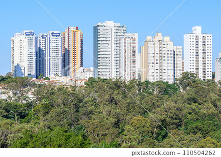 Tall buildings behind a vast green area of trees 110504262