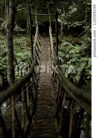 Suspended bamboo bridge in the jungle on the popular island of Bali. Suspended bamboo bridge in the jungle on the popular island of Bali. 110504299