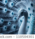White Peacock 110504301