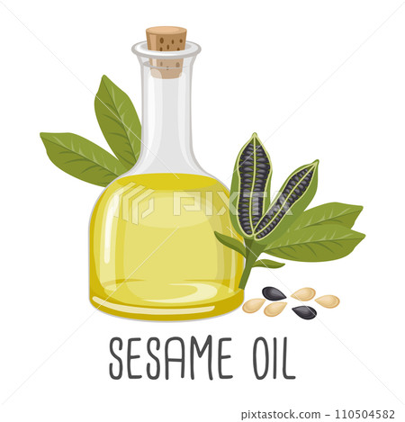Sesame oil, seeds and sesame plant. Sesame seed oil. Food. Illustration, vector 110504582
