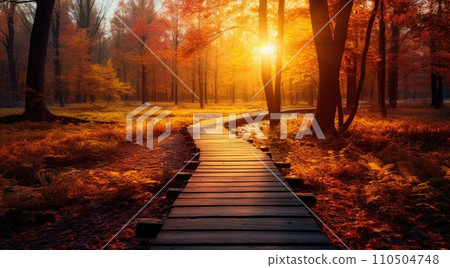 A wooden walkway through a forest 110504748