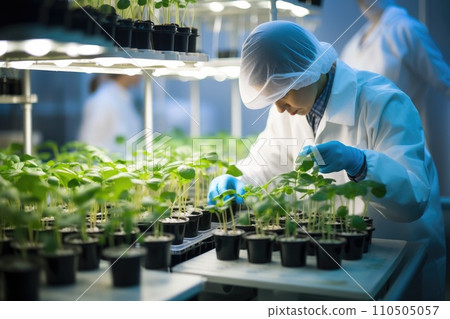 Plant research, green plant in a glass jar in a laboratory. Ecological breeding and plant development. Plant research, green plant in a glass jar in a laboratory. Ecological breeding and plant development. 110505057