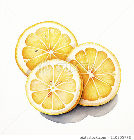 Watercolor drawing of cut lemons isolated on a white background 110505778