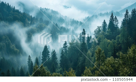 Panoramic view of forest with morning fog, aerial spaces. Panoramic view of forest with morning fog, aerial spaces. 110505944