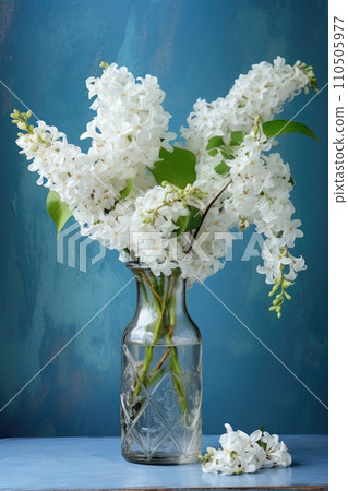 White lilac flowers in a vase 110505977