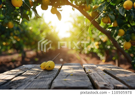 Wooden table top on blurred background orchard with lemons Wooden table top on blurred background orchard with lemons 110505978