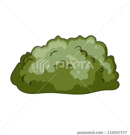 lawn garden shrub cartoon vector illustration 110507577