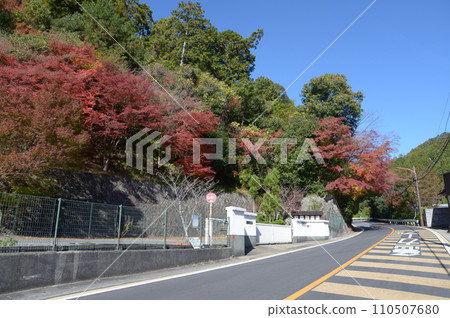 京都市右京區周山街道秋天的高雄 京都市右京區周山街道秋天的高雄 110507680