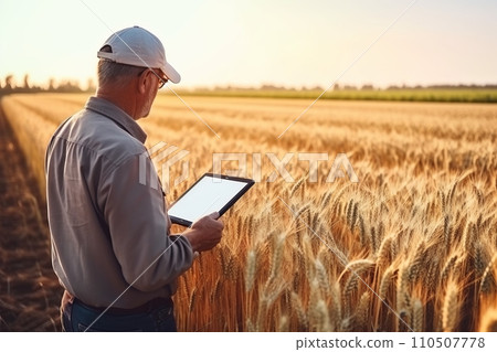 A male agronomist farmer with a digital tablet in the hands studies the quality of wheat harvest, modern technologies in agroindustry 110507778