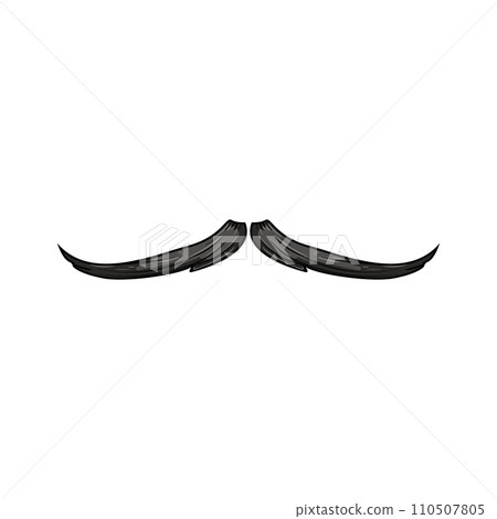 moustache moustaches cartoon vector illustration 110507805