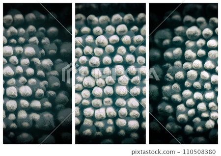 Triptych Design of Blurry Textures. Abstract Backgrounds Set. Triptych Design of Blurry Textures. Abstract Backgrounds Set. 110508380
