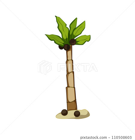 leaf palm coconut cartoon vector illustration 110508603