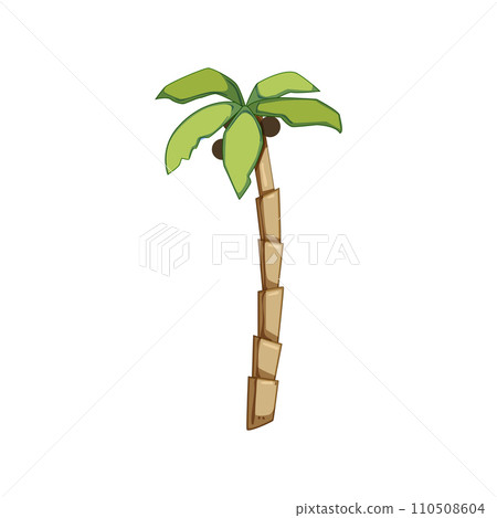 plant palm coconut cartoon vector illustration 110508604