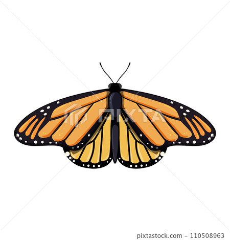 pink butterfly cartoon vector illustration 110508963