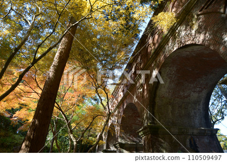 京都市左京區秋天的南禪寺水陸閣 110509497