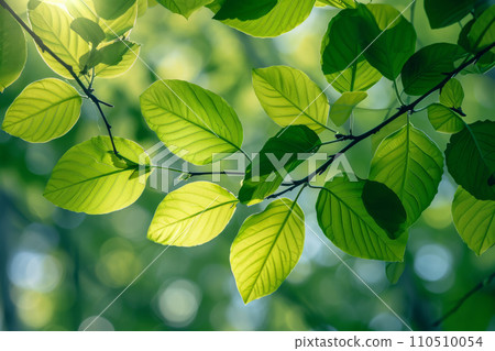 Close up shot of green leaves on a branch. Plants leaves using as spring background. Generative AI 110510054