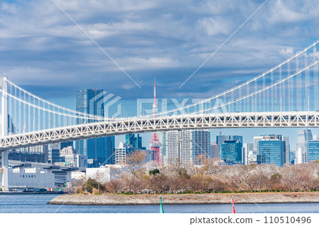 從東京台場公園看到的東京灣和彩虹橋 從東京台場公園看到的東京灣和彩虹橋 110510496