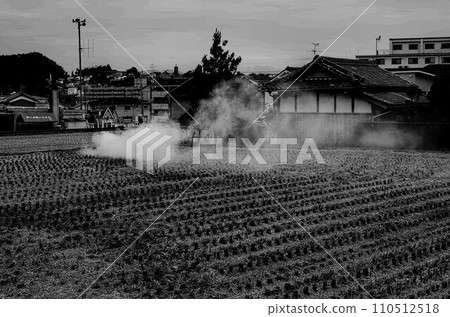 稻米作物結束的稻田 稻米作物結束的稻田 110512518