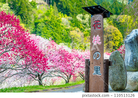長野縣阿智村，粉紅色花朵和桃子的村莊 110513126