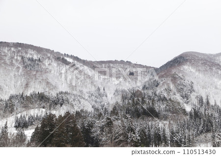Picturesque view of snow covered trees on mountain. 110513430