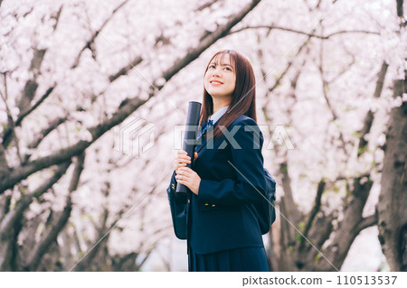 High school student (high school girl) holding a diploma with cherry blossoms in the background 110513537