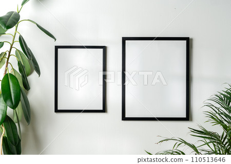 Black frames and houseplant against white wall copy space 110513646