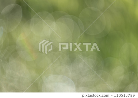 Refreshing spring image material 110513789