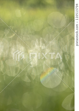 Refreshing spring image material Refreshing spring image material 110513794
