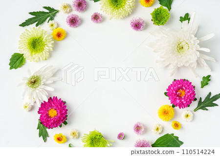Small spring flowers arranged on white background Small spring flowers arranged on white background 110514224