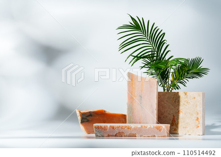 Granite stone with branch green leaf on studio background 110514492