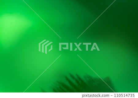 Minimal green abstract background with plant shadow 110514735