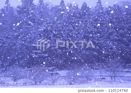 大雪 大雪 110514740