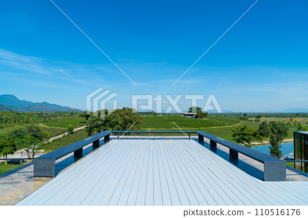 tea plantation on mountain in morning tea plantation on mountain in morning 110516176