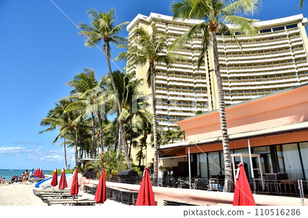 夏威夷的假期 110516286
