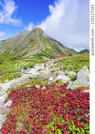 秋葉的北嶽山和浦島杜鵑花 110517581