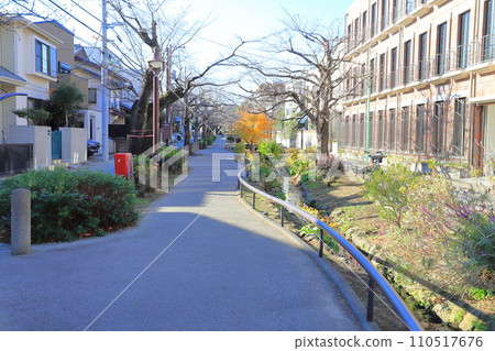 北澤河綠道 世田谷區 110517676