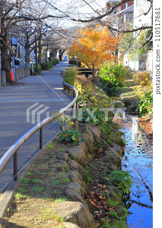 北澤河綠道 世田谷區 110517681